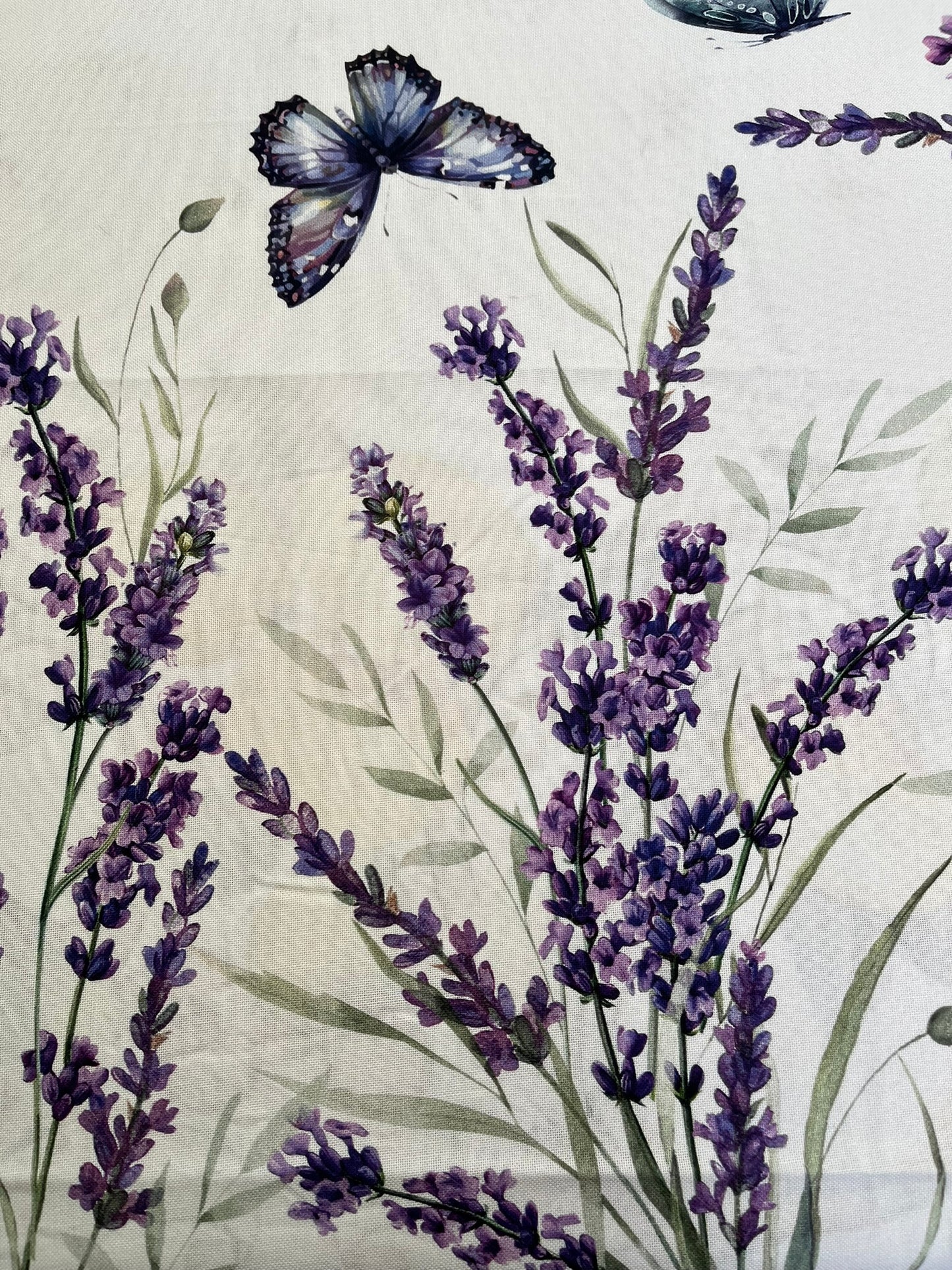 Lavanda e Farfalle