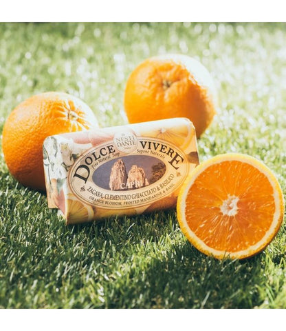 Nesti Dante Dolce Vivere Capri Seife 250gr